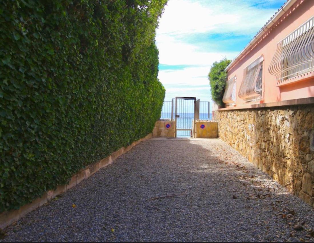 Appartement Pied Dans L'Eau La Seyne-sur-Mer Exterior photo